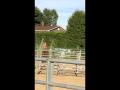 Ma premi&egrave;re comp&eacute;tition de Cowboy Extr&ecirc;me !