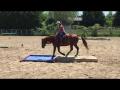 Cowboy Extr&ecirc;me amateur du Ranch S Martin, 25 juin 2016 ! 4e sur une...
