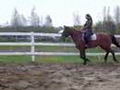 Premier petit saut pour Flash!