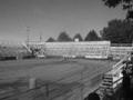 Gymkhana : course de barils