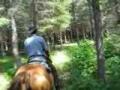 Notre arrivee &agrave; cheval par nos sentiers au camping Sauvage.