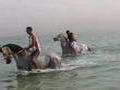 Des arabes &agrave; la mer!