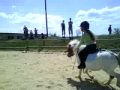 hahaa ! cest vraiment cutee maiis maudiit que cest sa grosse panicc...