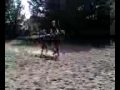 Moii et mon ptiit Figouu sur deux sauts ! Moi et ma coach on a...