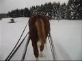 Petit vid&eacute;o vite fait de Brandon :)