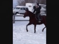 Montage moi et Cathe avec ma jument et Karelli,...
