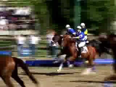 horseball