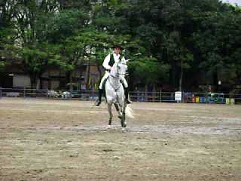 horse dancing on michael Jackson