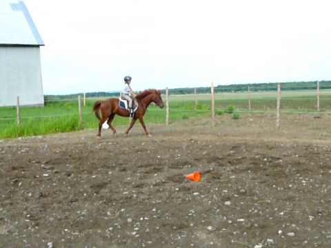 Premier galop de Lili avec Bamboo ! C'est un d&eacute;but pour ma cocotte de 7 ans!