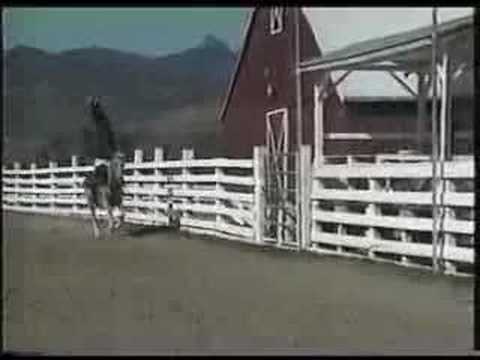 Trick riding