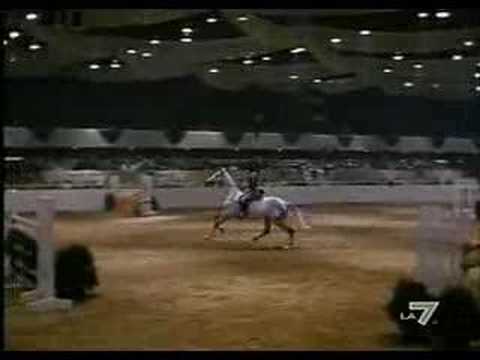 (ASPERCEL) Film Horse in the gray flannel suit !