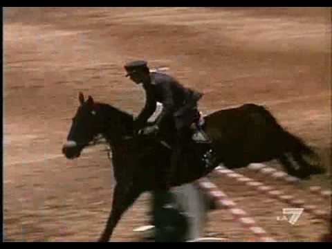 (Rascala) Film Horse in the gray flannel suit !