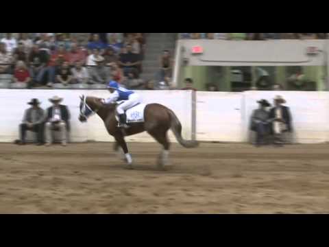 Freestyles de reining avec l'idée du Jockey. Vraiment trop bon :D