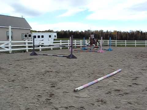 Une gym ak Armani et moi ! C'est toute qu'une petite machine se cheval laa !