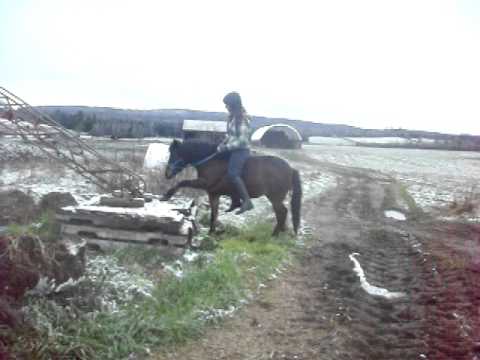 Vieille video de moi & Caramelle... le temps passe vite & on s'am&eacute;liore !