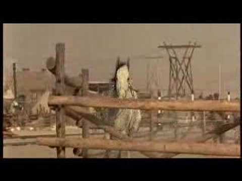 Un des meilleurs films de chevaux que j'ai &eacute;couter... Crini&egrave;re au vent ( Running Free )