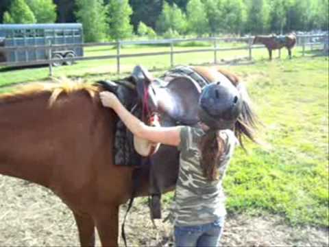 Ginger :'( :'( :(