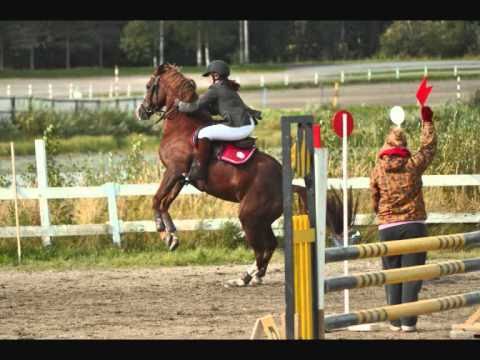 Horse riding fails
