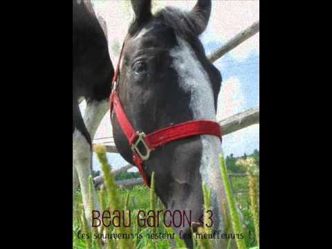 mon premier cheval