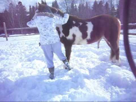 Mon poulain, hihi! Je crois que plus tards, on devrais bien s'entendre hihi! l'&eacute;t&eacute; s'annonce grosse pour lui :D