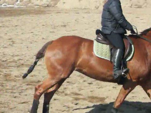 Un p'tit entraînement avec ma jument dans le pit, 11 mars 2012. Elle n'en a pas trop perdue ma chômeuse! :)