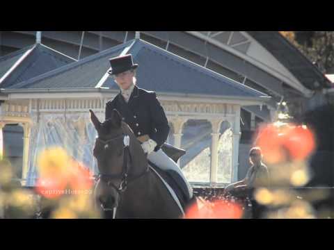 OUI ! L'équitation EST un sport. Montage fait par moi avec des séquences trouvées sur youtube :)