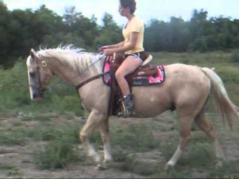 Vid&eacute;o pr&eacute;sentant mon nouveau cheval Lucky Dusty avec qui je partage d&eacute;j&agrave; 2 mois de pur bonheur :)