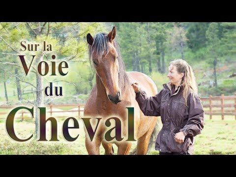 Super reportage !