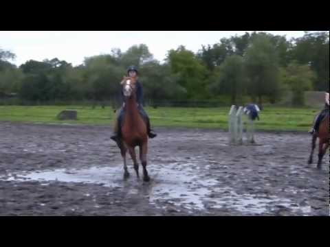 B&eacute;tisier de mon club! (Oxer de Bellevue)