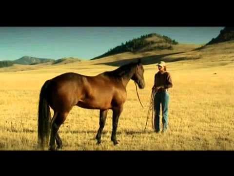 Fundamentals of Horsemanship - AQHA en partenariat avec La Cense Montana: Bouger l'arri&egrave;re-main et obtenir son attention