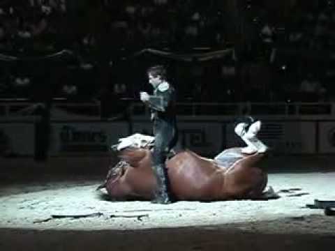 Funniest horse Acte ever!