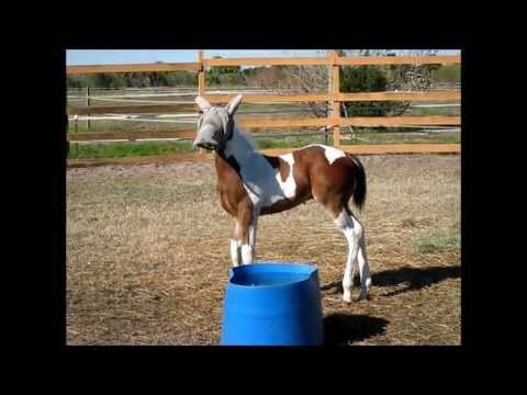 Hahahha J'ai trouver &ccedil;a vraiment cute! Ya une premi&egrave;re fois &agrave; tout!