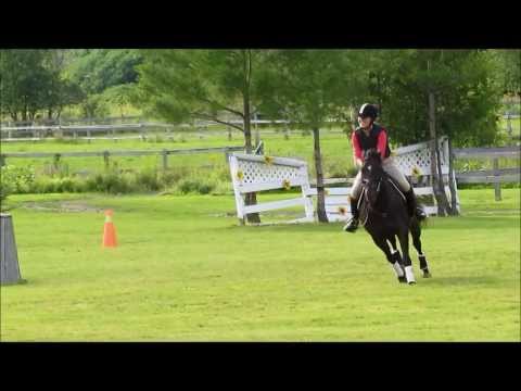 METTRE EN HD :) My Wonderwall. J'ai gagner une troisieme place dans un parcours de trois pieds contre une dizaine de...