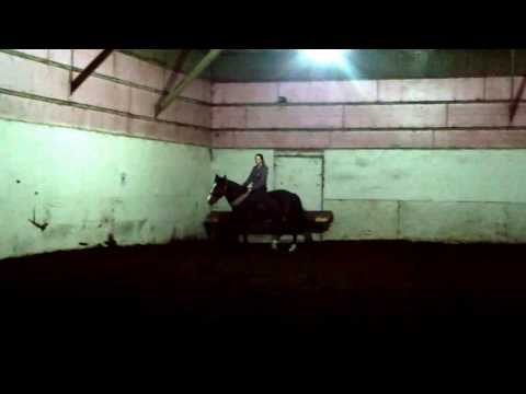 Dernière fois que je montais mon poney... Je m'ennuie de toi Tai !