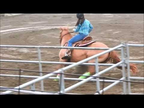 Voici l'&eacute;volution de ma jument Rosie, 1 an ensemble. Je suis tr&egrave;s fi&egrave;re du r&eacute;sultat, mais il reste beaucoup de choses &agrave;...