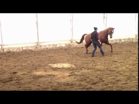 libert&eacute;, un petit apercu de notre fun d'aujourd'hui a moi et Cajun :)