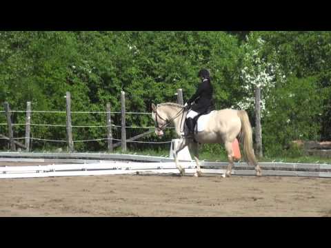 Rosie 4ans parcours pas\trot et entrainement.
