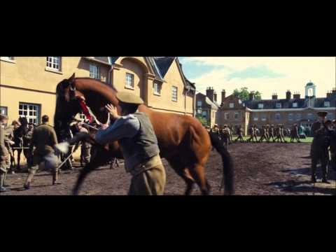 War horse. Cant take me