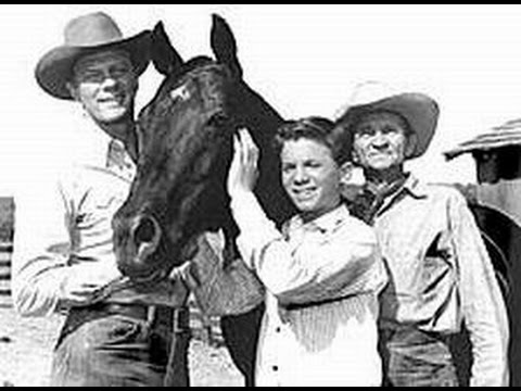 Fury 1995 tv show