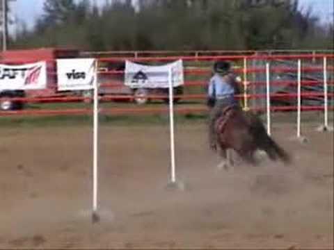 woow jaiem tellement cette homage ! je nose meme pas penser lorsque mon cheval de barils va mourir ! cars sest pas...