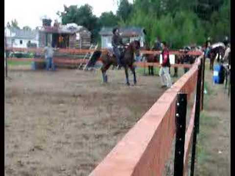 Voici ce que sa fait quand un cheval est tan&eacute; de courrir dans les gymkhana!!! m&ecirc;me si c'est amateur!