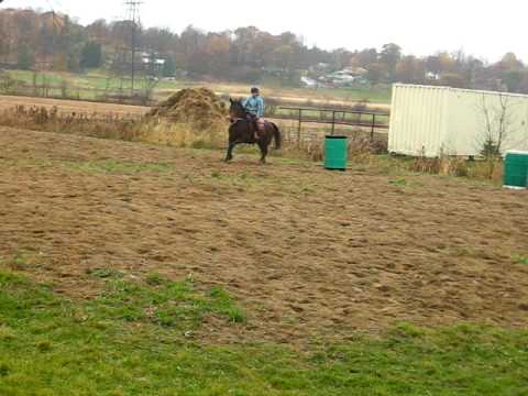 Loll ! Moi pi la selle western a kassonade ! On c'&eacute;tait bien amus&eacute;e ! :p je fais de beaux barils non ? lol merci sab...
