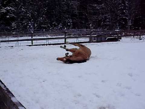 BALLOU QUI SE PETE LA GEULE SOLIDE XD HAHAHAHAHHA