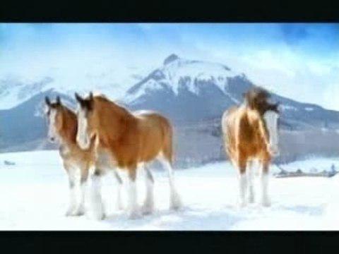 bataille de boules de neige!!!!!!!!!!!!!