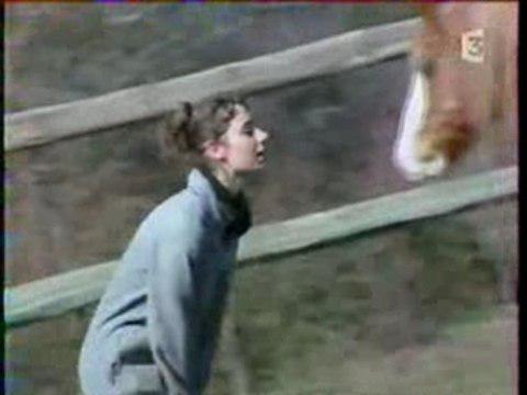 Un refuge en france pour les vieux chevaux mal traité ou abandonner ...