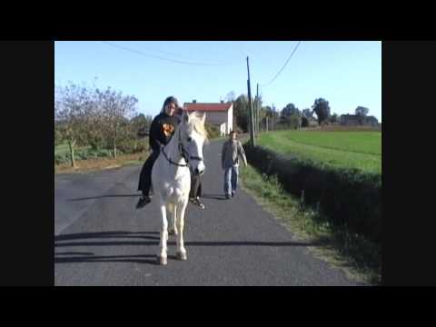 Un beau souvenir de Popeck (mon premier cheval) et mes amis lorsque je vivais en France