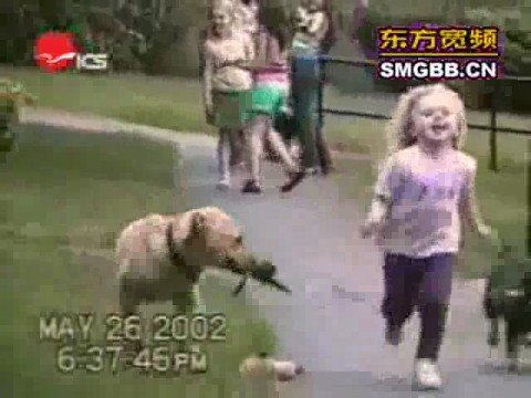 hahaha les chiens toujours aussi comiques XD