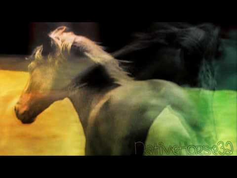 bon film, avec un superbe montage!