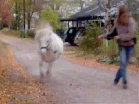 tite video marrante
