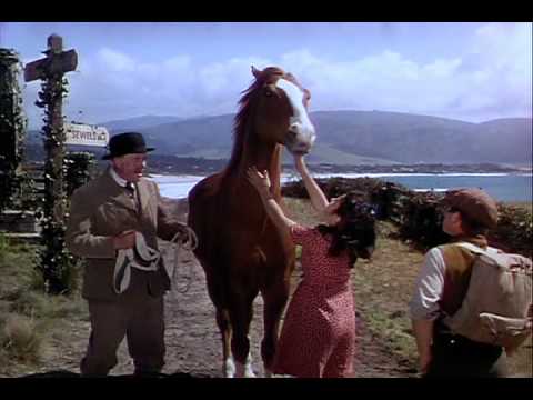 National velvet qui la vue ?